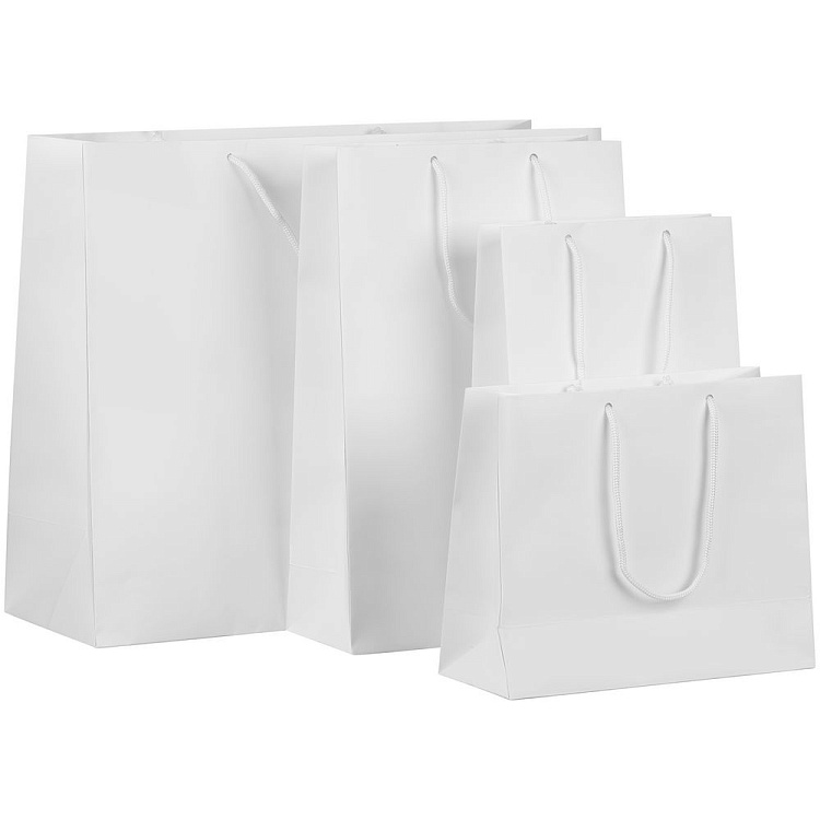 Пакет бумажный Lami Tote S