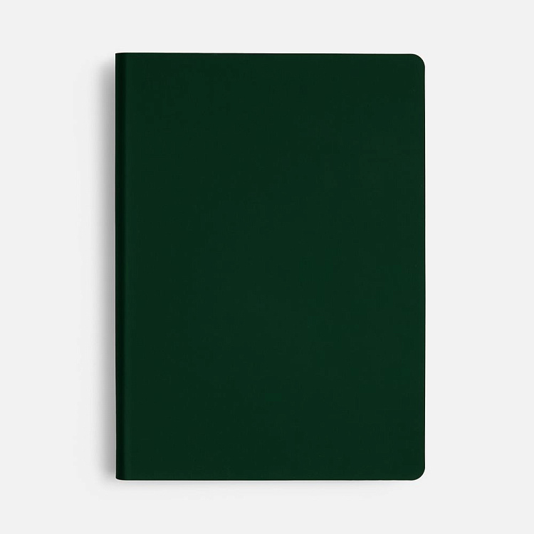 Ежедневник Flex Shall New