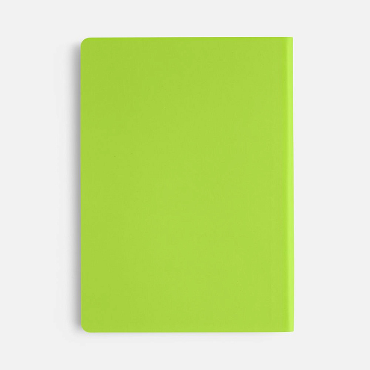 Ежедневник Flex Shall New