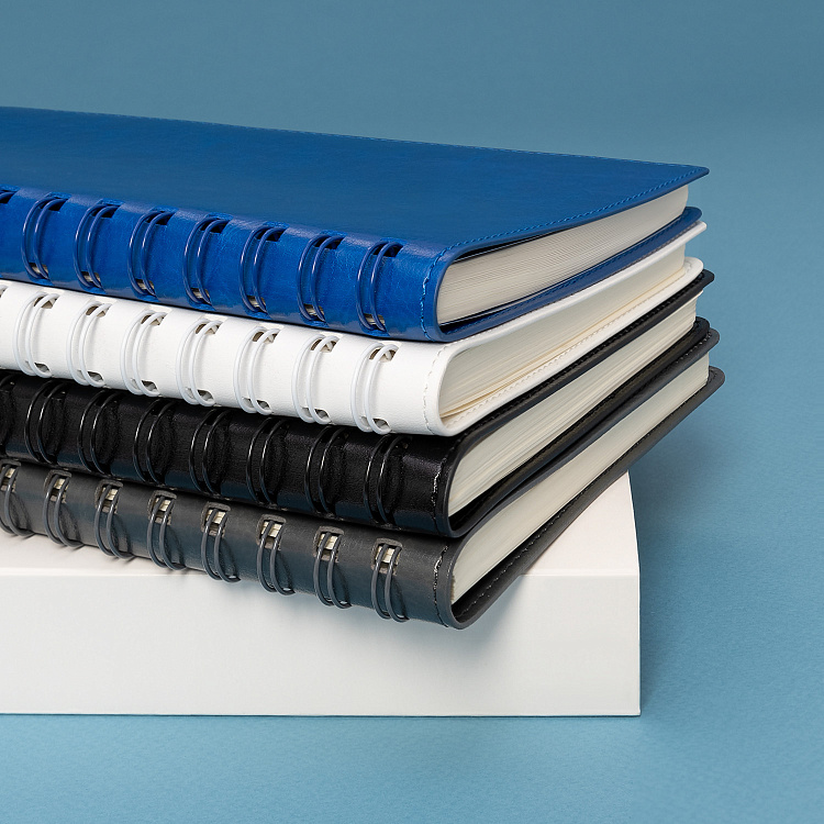 Ежедневник Vista Neo недатированный