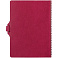 Ежедневник Strep Front
