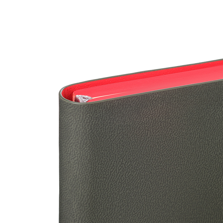 Ежедневник Latte soft touch недатированный