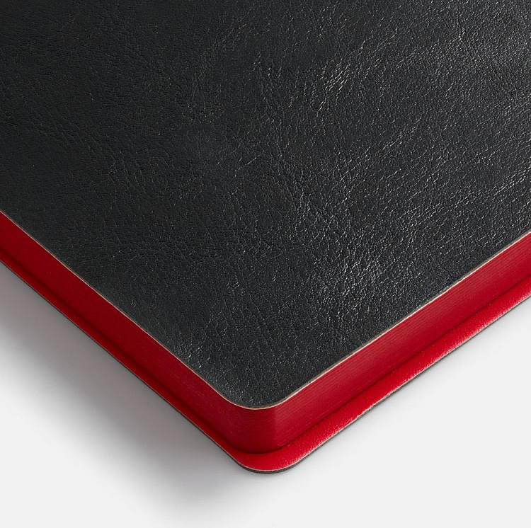 Ежедневник Doppio