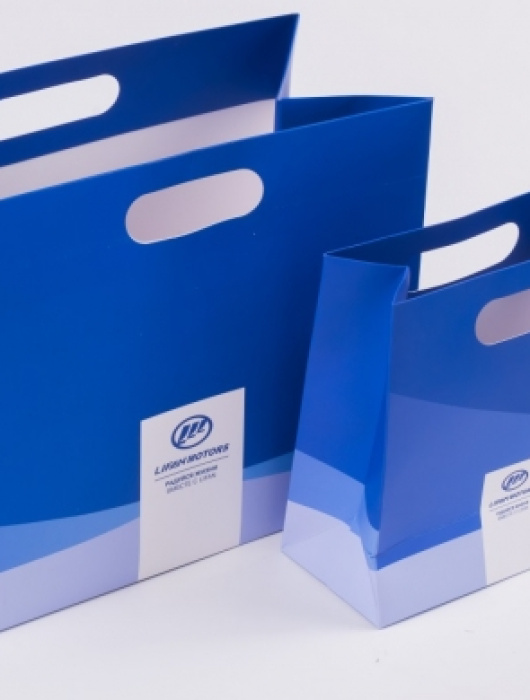 Сувенирная продукция и полиграфия для Lifan Motors
