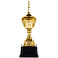 Кубок Top Star