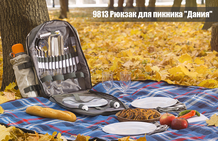 Рюкзак для пикника "Дания" на 4 персоны