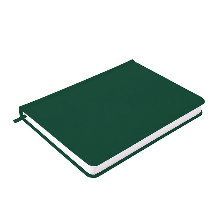 Ежедневник недатированный Campbell, формат А5,  в линейку