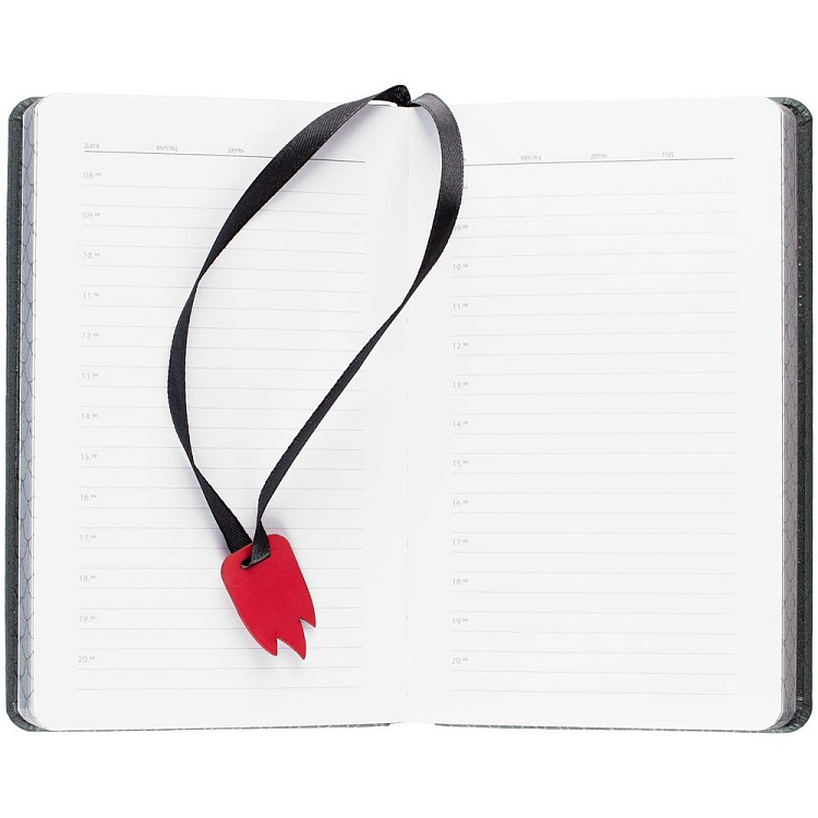 Ежедневник «Дракон»