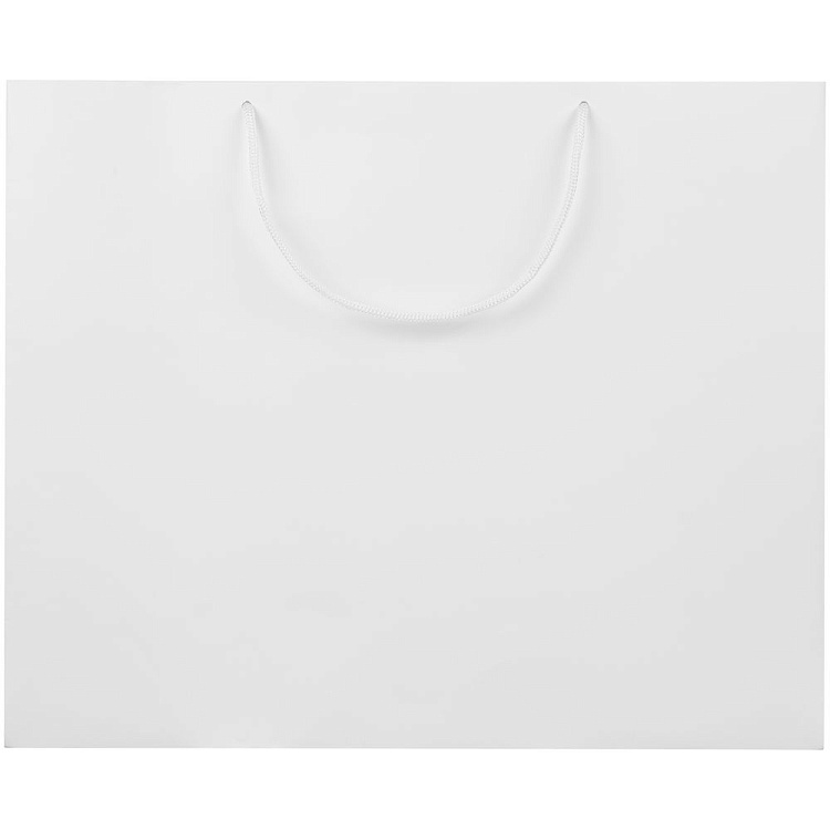 Пакет бумажный Lami Tote L