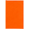 Ежедневник Flat Mini