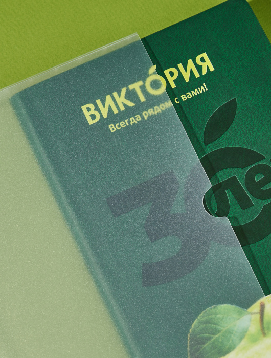 Индивидуальный ежедневник с ручкой в корпоративных цветах