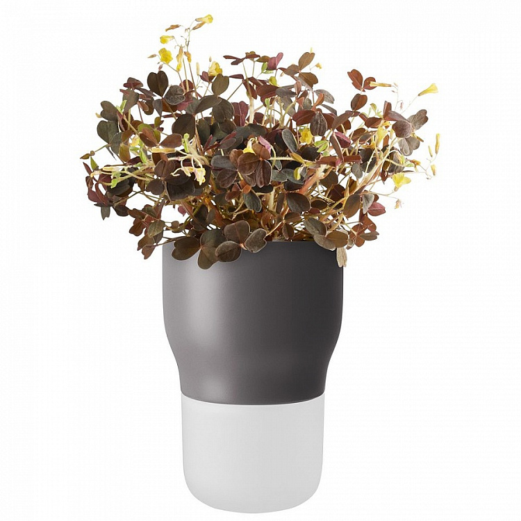 Горшок для растений Flowerpot