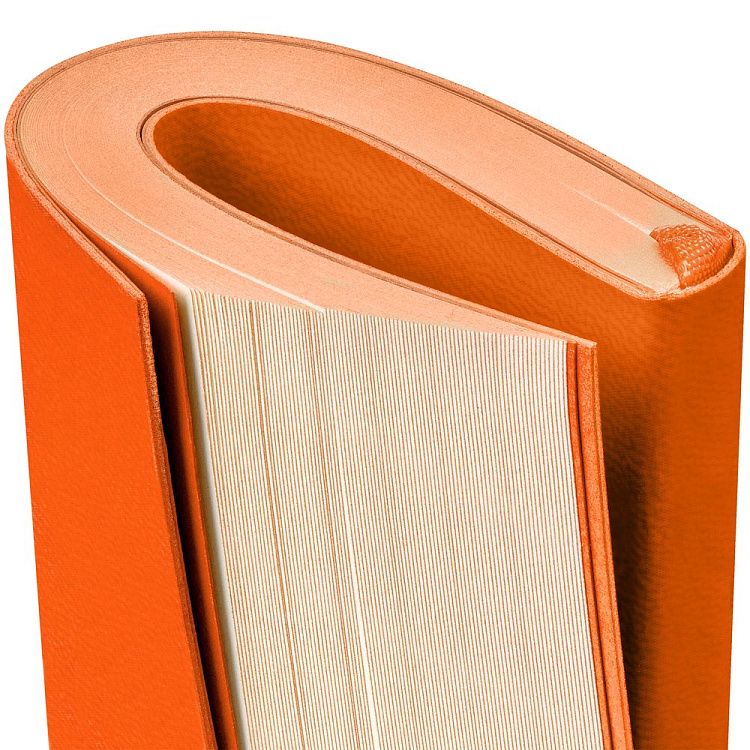 Ежедневник Flat Mini
