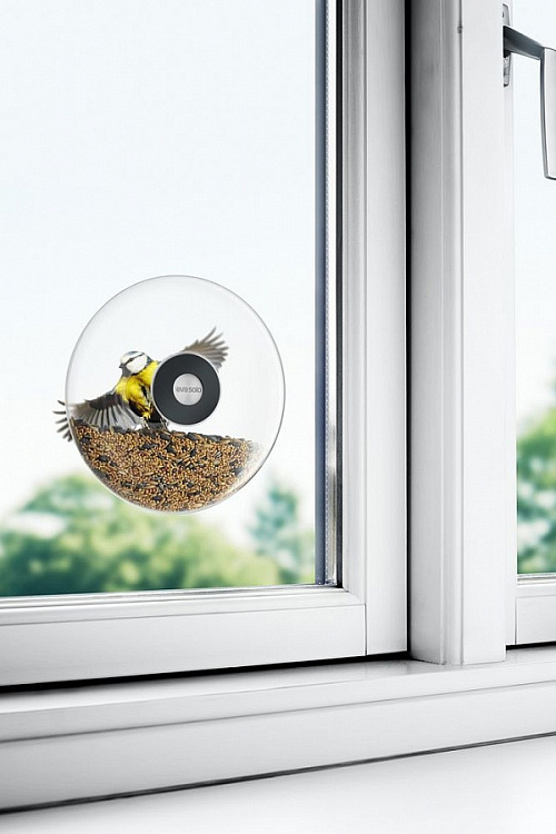 Кормушка для птиц Window Bird Feeder