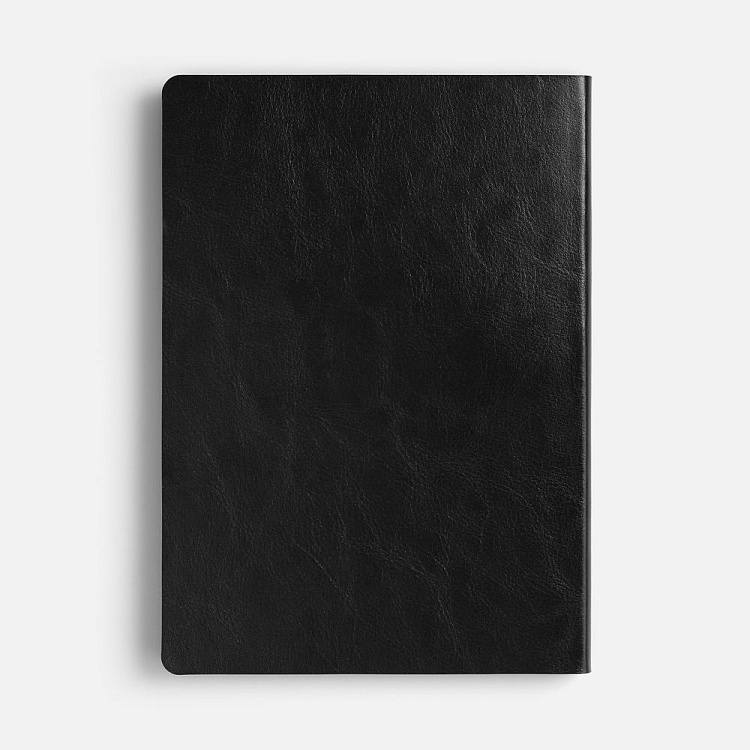 Ежедневник Doppio