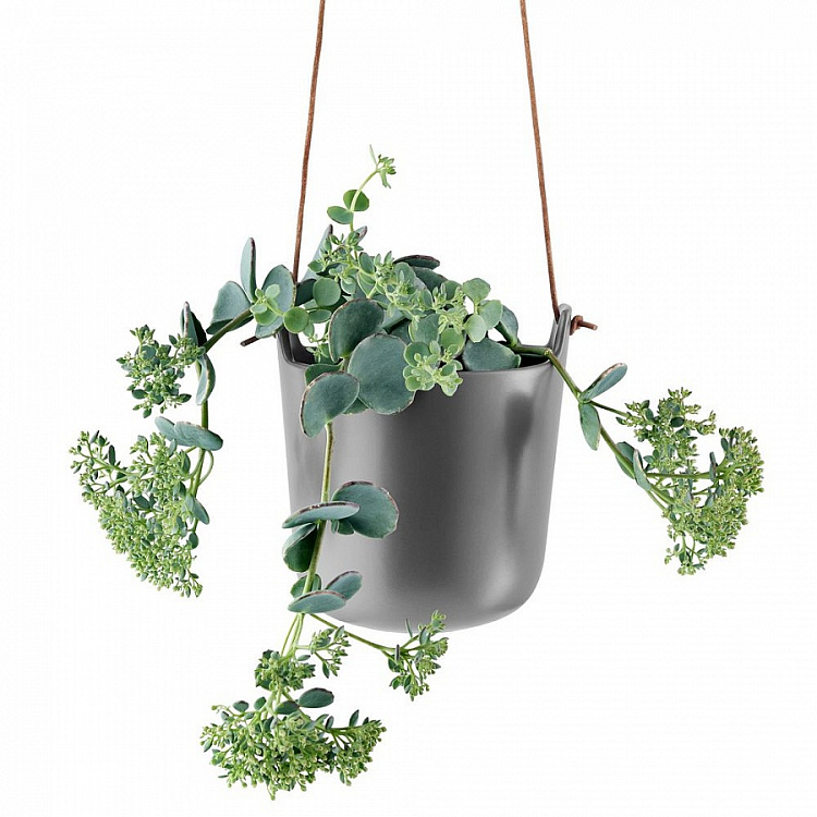 Горшок для растений Flowerpot