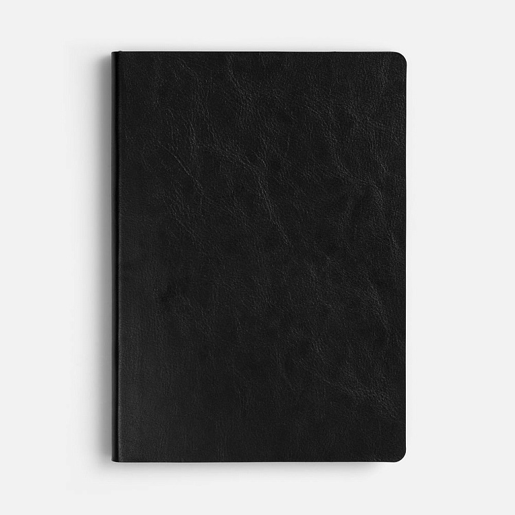 Ежедневник Doppio