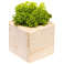 Декоративная композиция GreenBox Wooden Cube