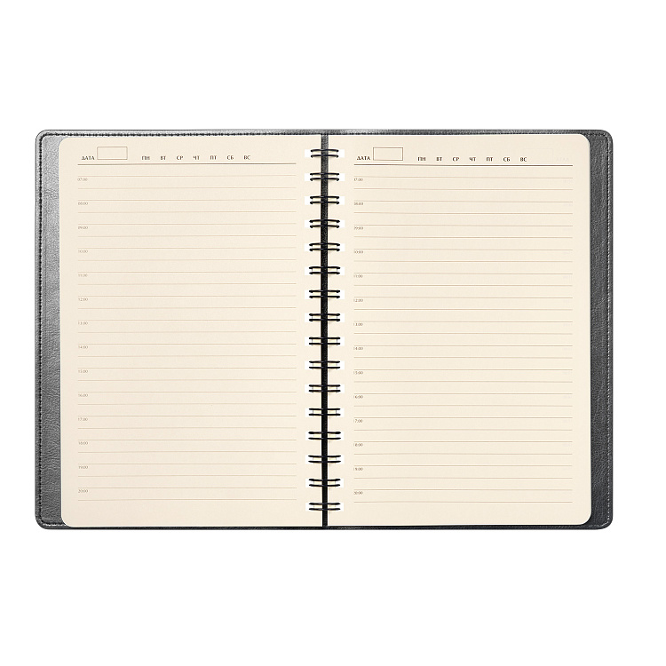 Ежедневник Vista Neo недатированный